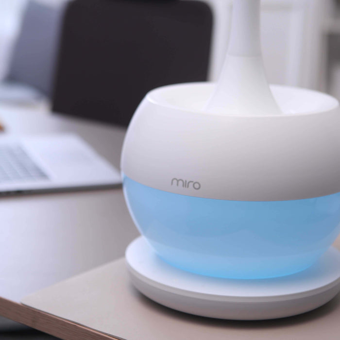 Back To School Shopping With Miro