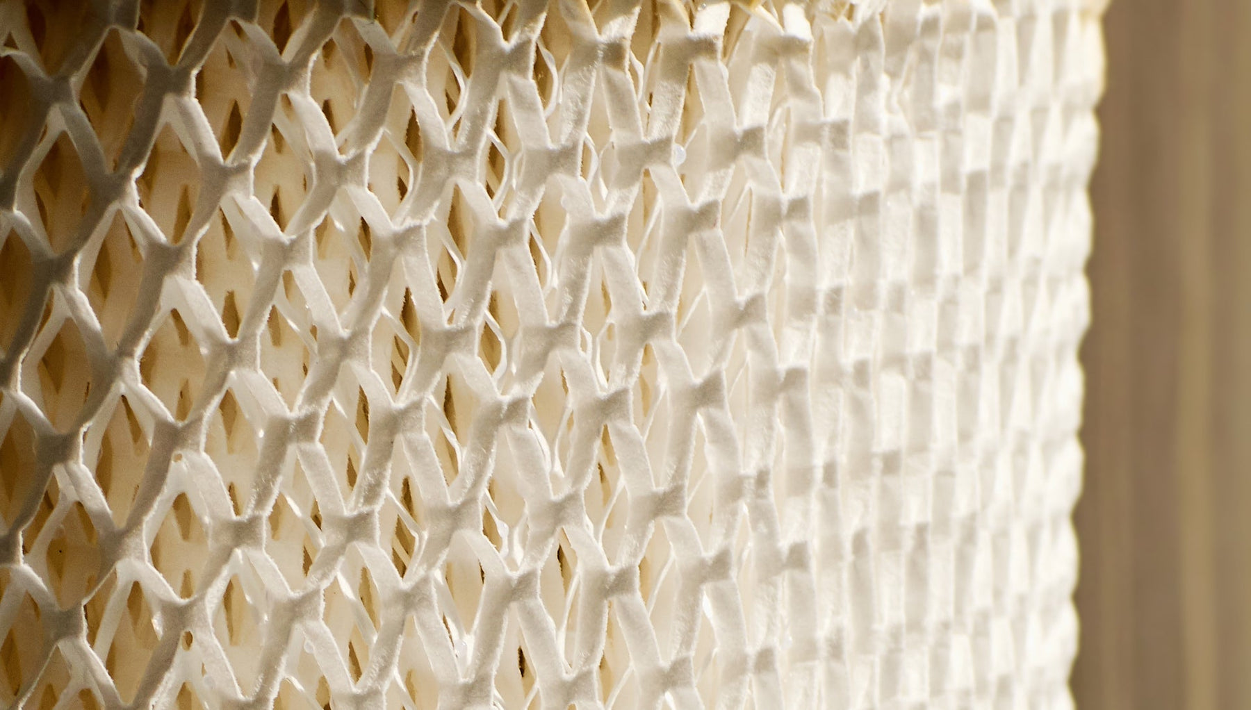 Can You Use a Humidifier Without a Filter? Everything You Need to Know