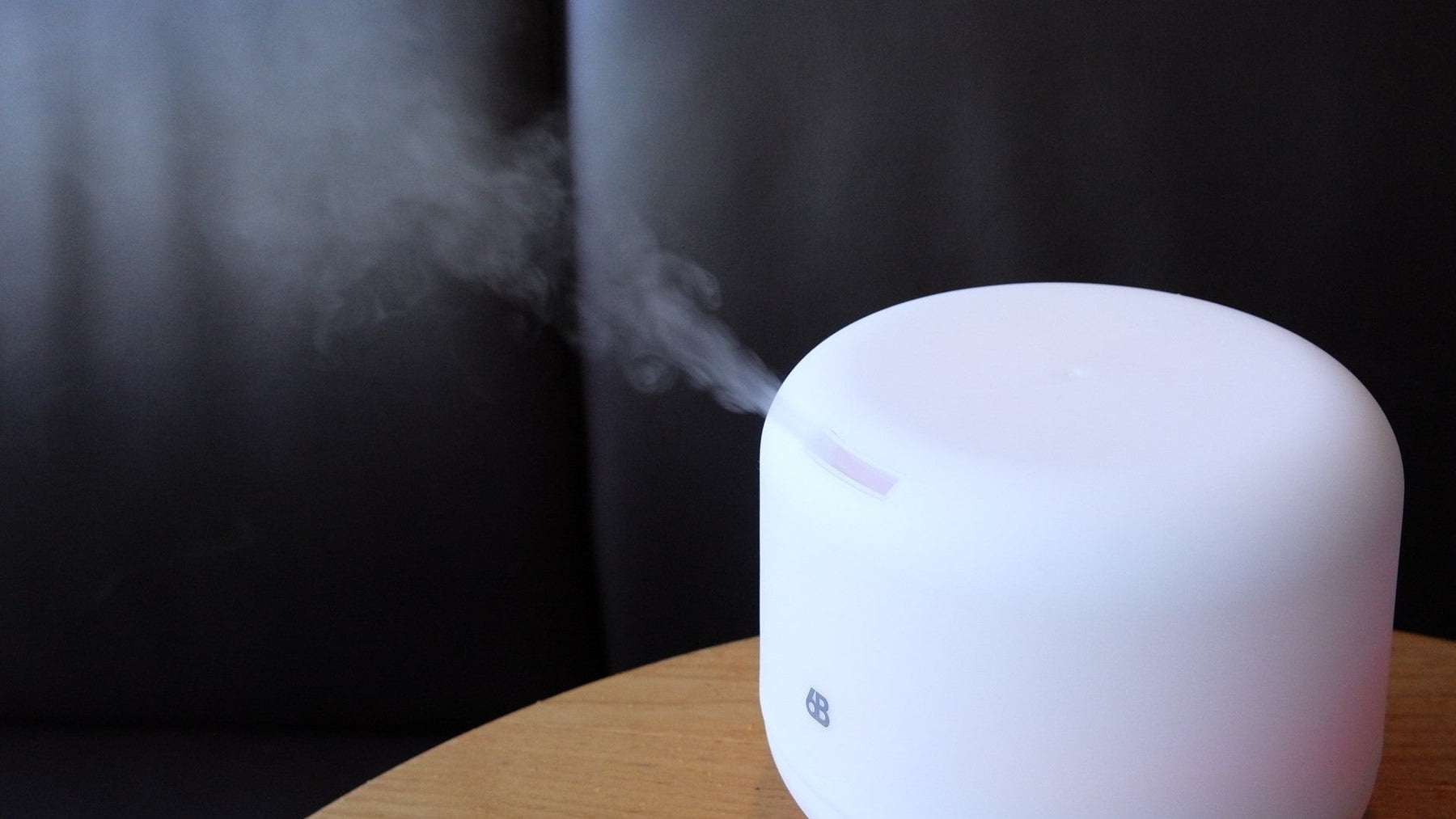 5 Ways to Tell If Your Humidifier Is Working & How to Fix