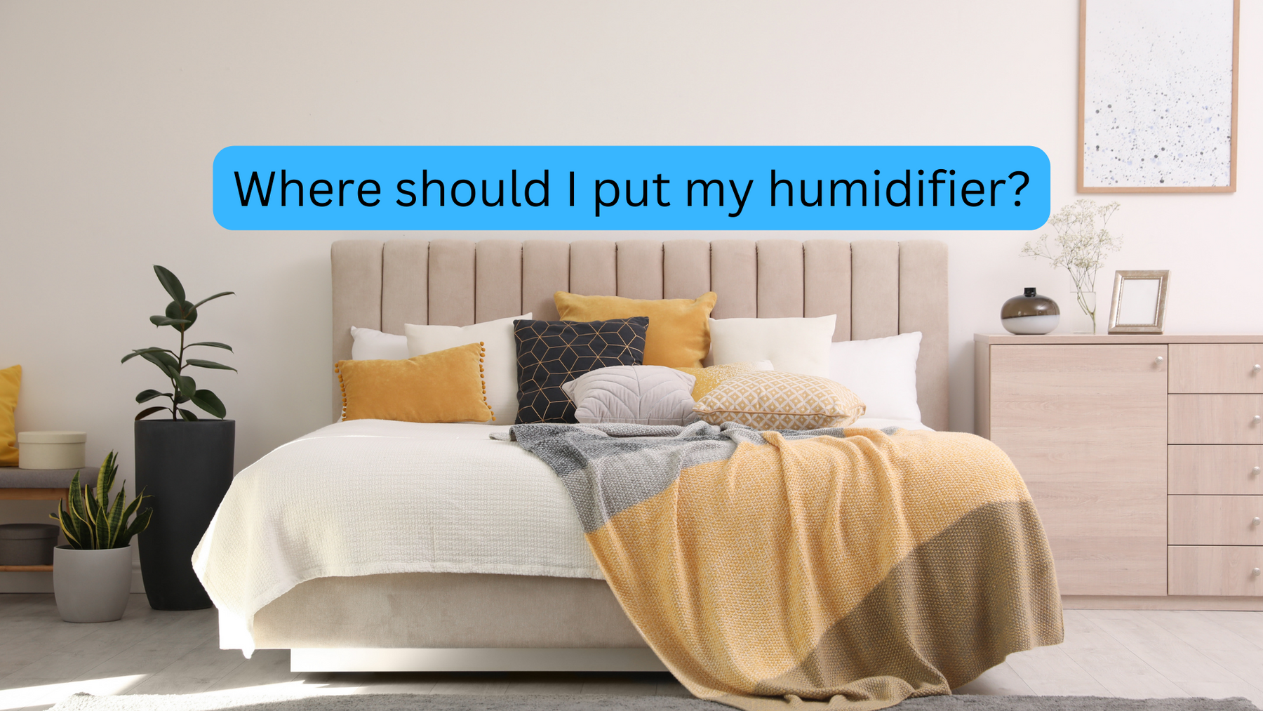 Where to Place Your Humidifier in Your Room