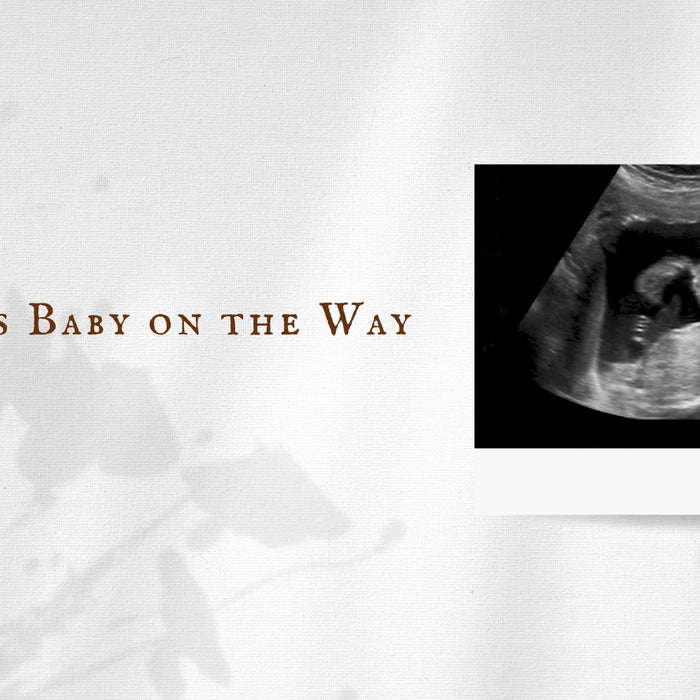 The First Month | First Trimester | Pregnancy Tips for Dads | Miro