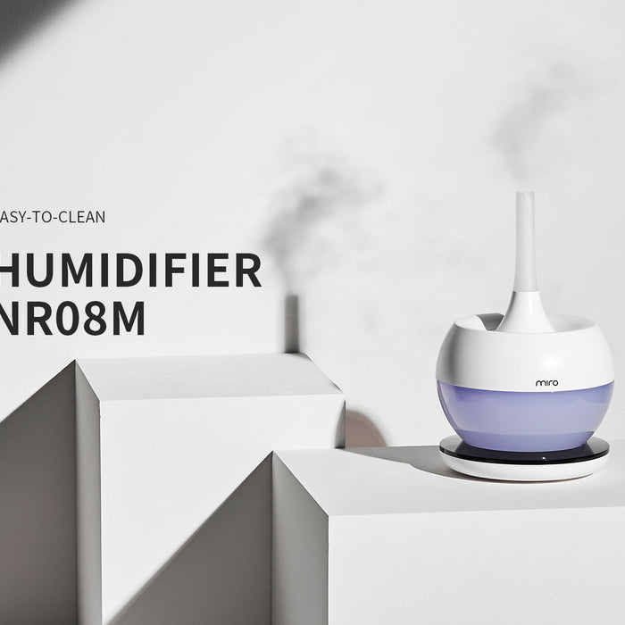 2020 Winter Is Here. Could Humidifiers Help?
