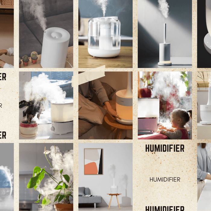 How to Prevent Humidifier Mold: The Definitive Guide