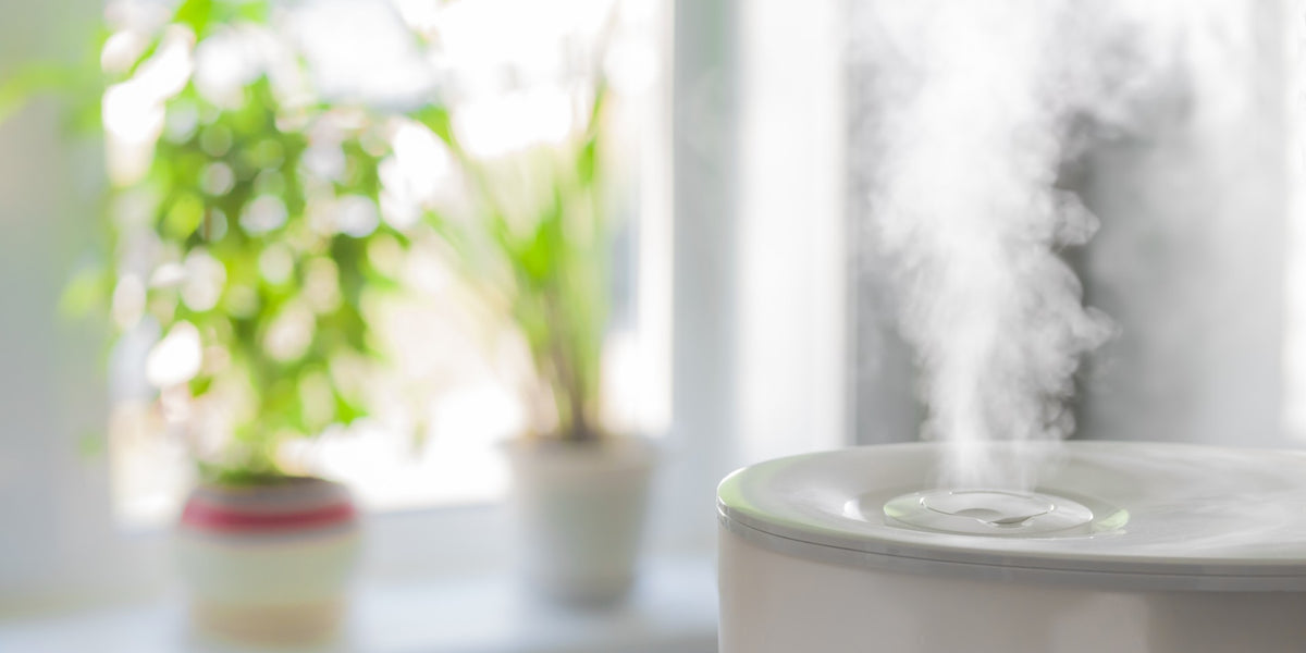 Measuring success: how to know a humidifier is working
