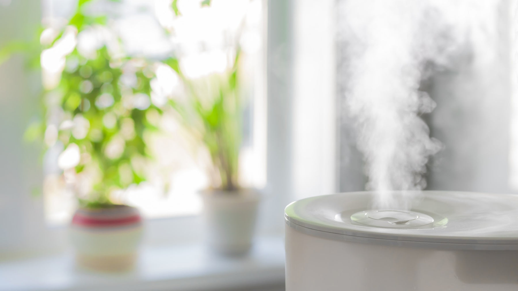 How Long Does It Take A Humidifier To Work?