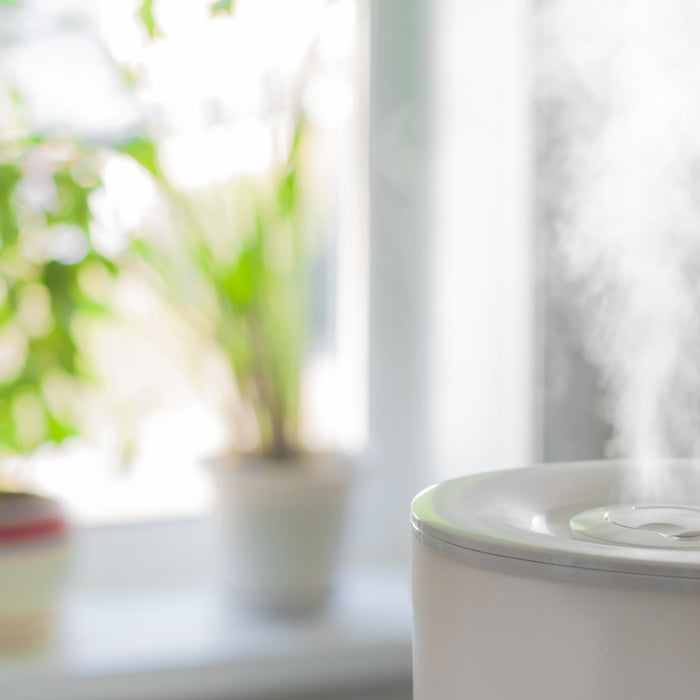 How Long Does It Take A Humidifier To Work?