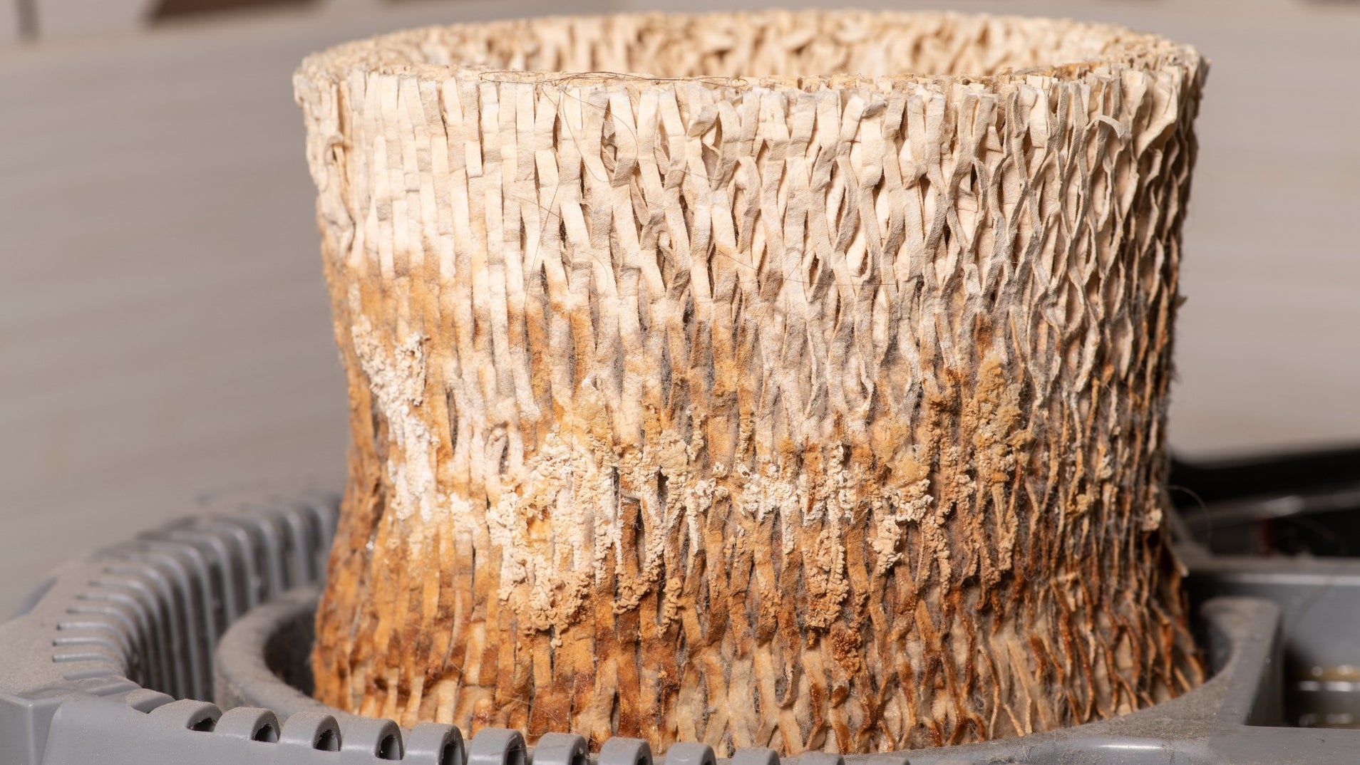 How Often to Change Humidifier Pad? — Miro