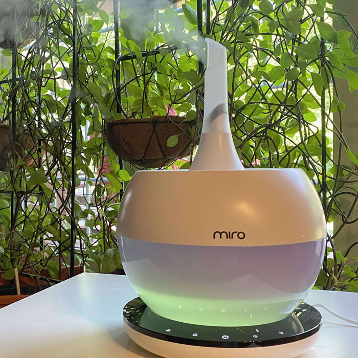 Using Humidifiers for Healthy Plants