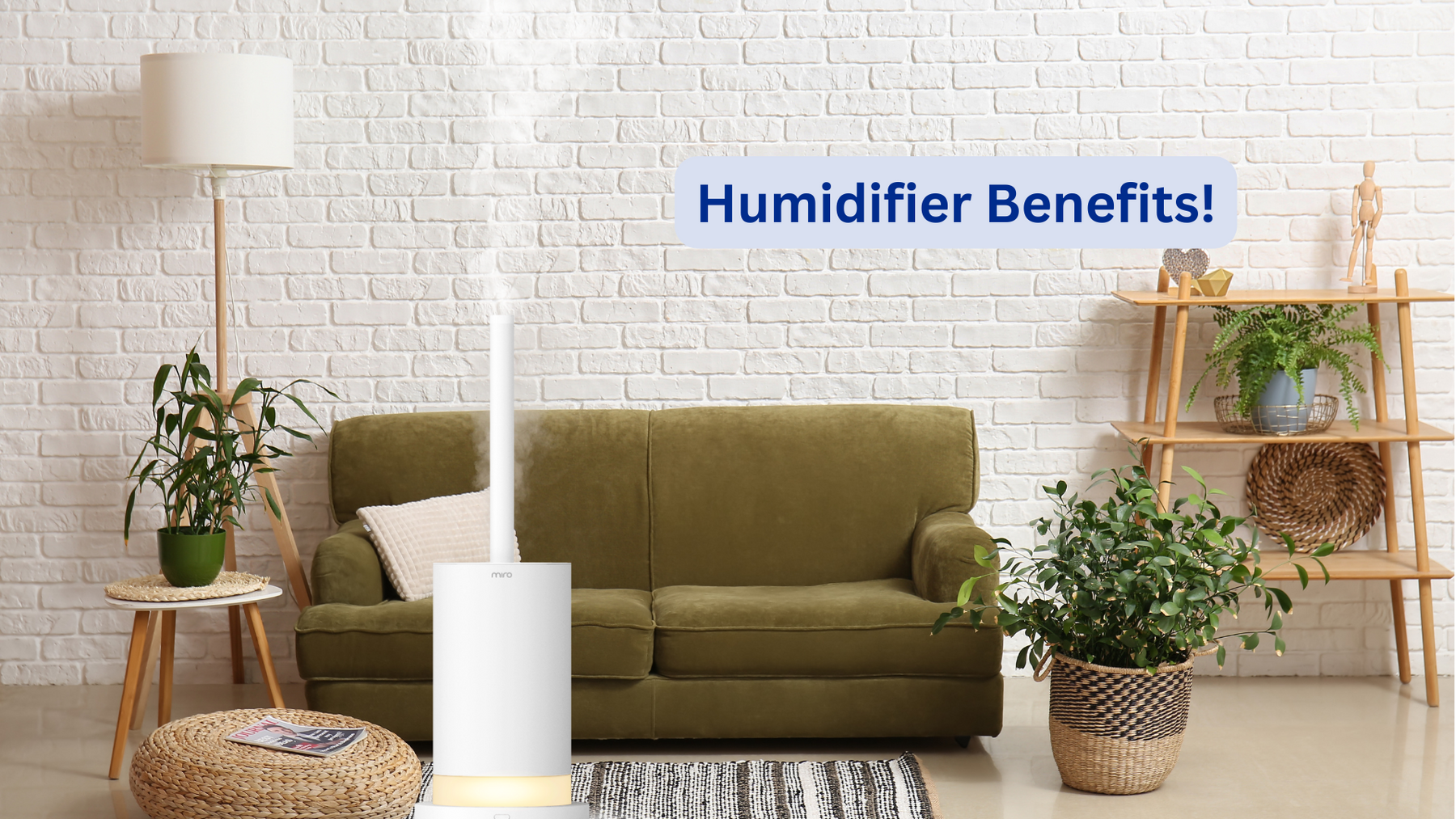 The Hidden Benefits of Humidifiers
