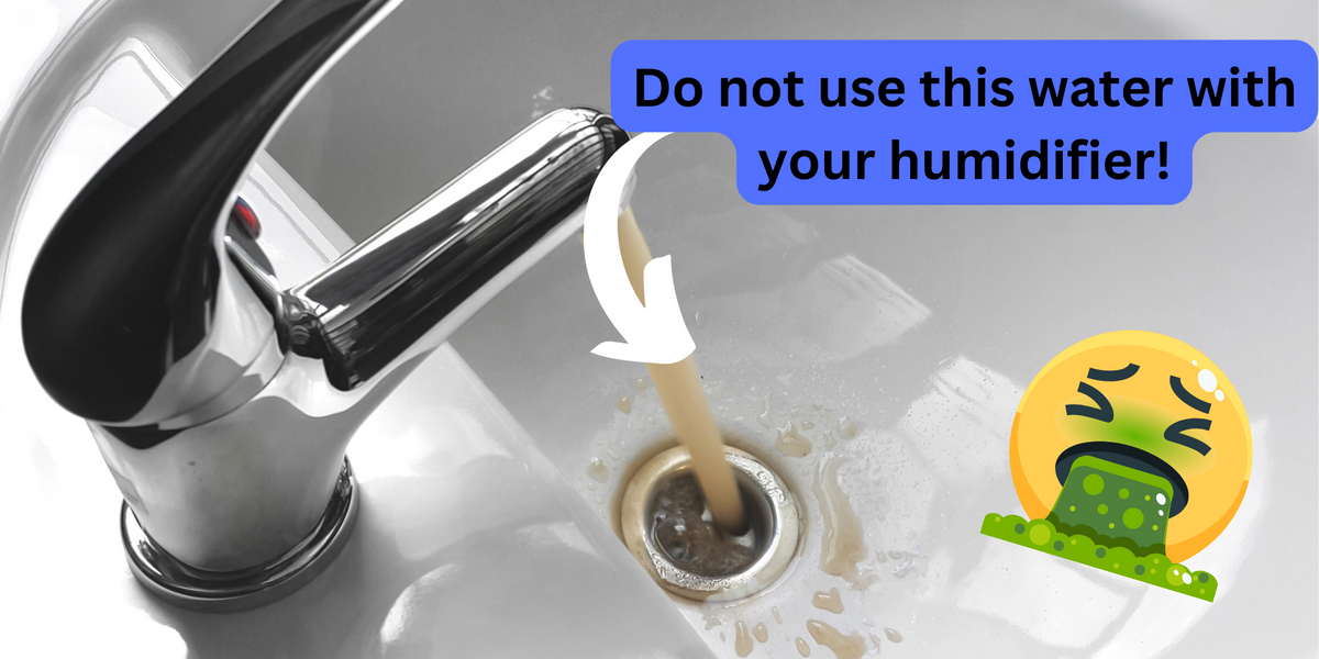 Why the Water Matters that You Use with Your Humidifier — Miro