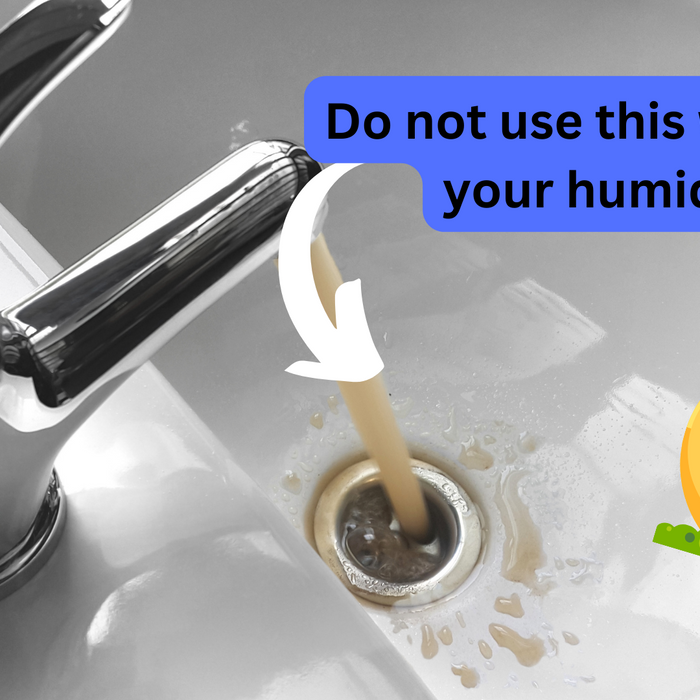 Why the Water Matters that You Use with Your Humidifier