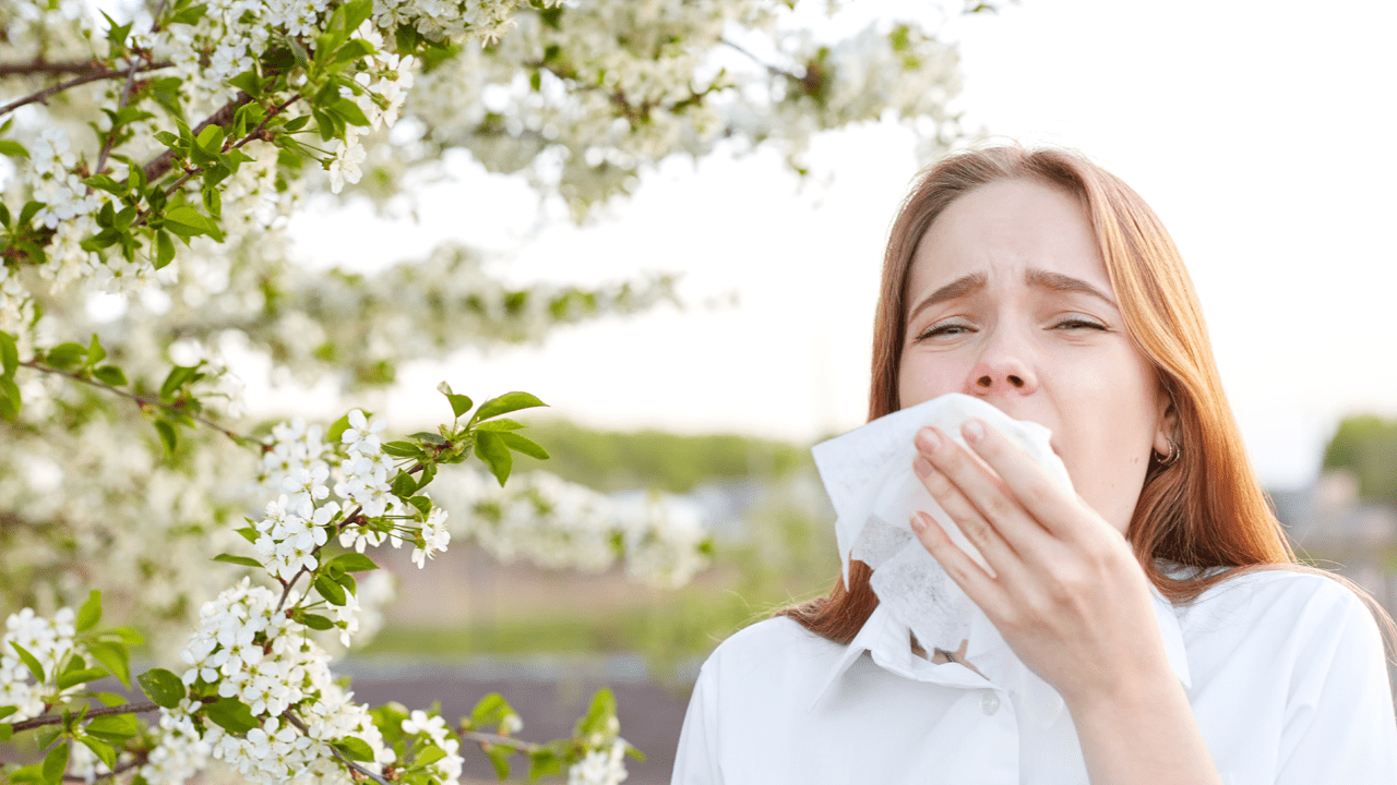 Using Humidifiers for Seasonal Allergies