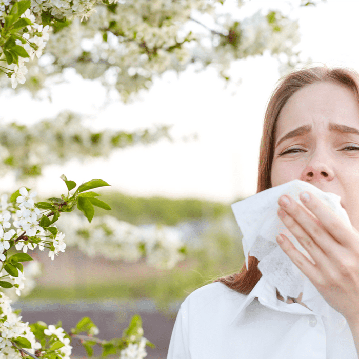 Using Humidifiers for Seasonal Allergies