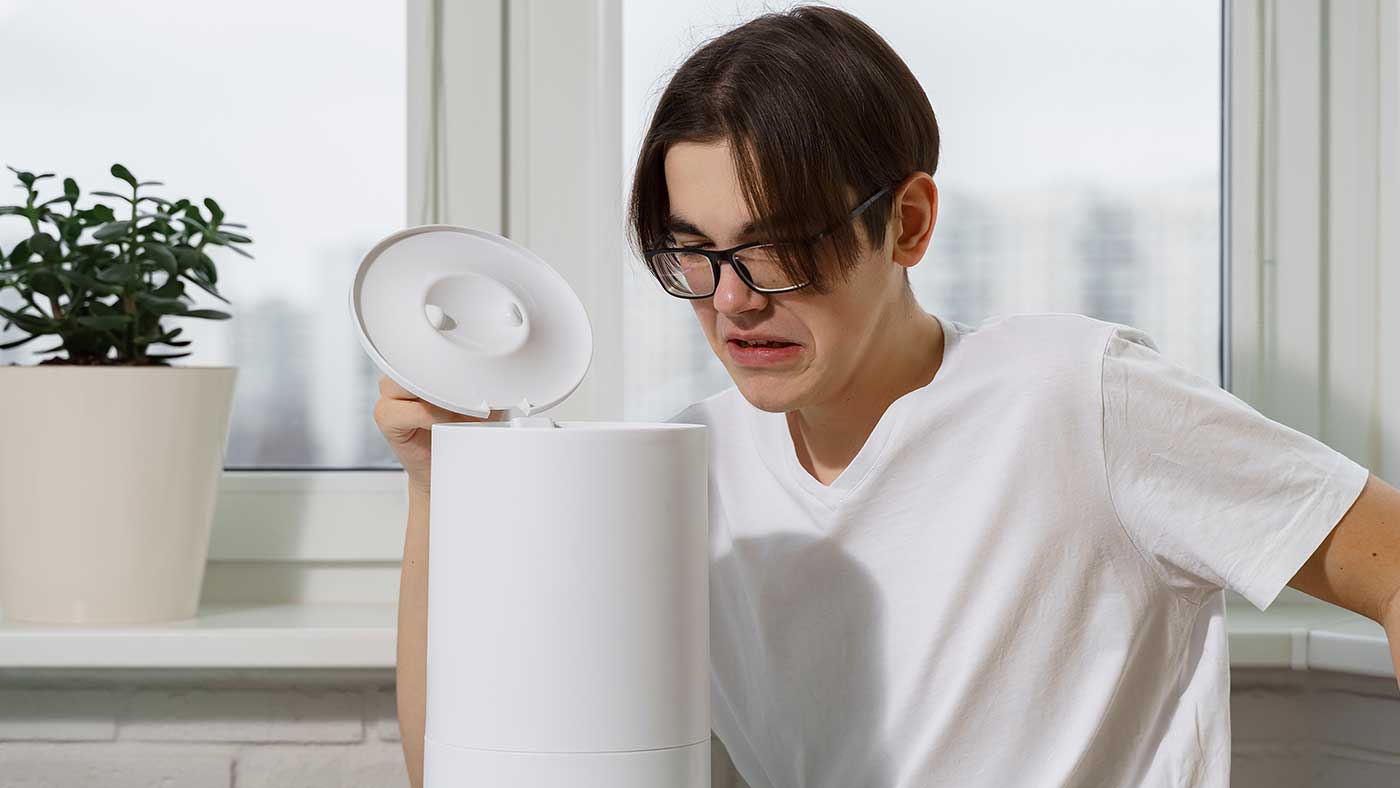 Best Ways to Check if Your Humidifier Is Mold Free